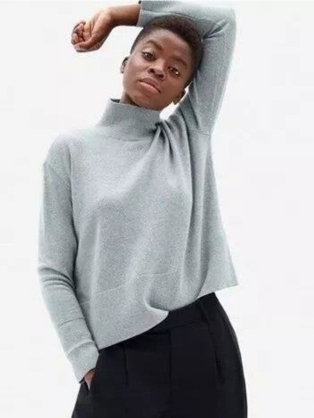 🆕EVERLANE The Cashmere Square Turtleneck